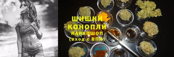 индика Кодинск