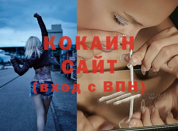 индика Кодинск