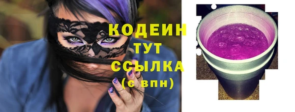 трава Коряжма