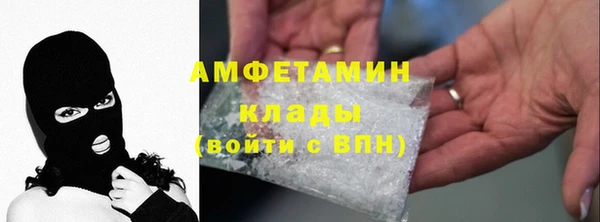 молекула духа Козловка