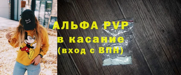 молекула духа Козловка