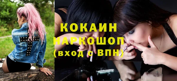 индика Кодинск