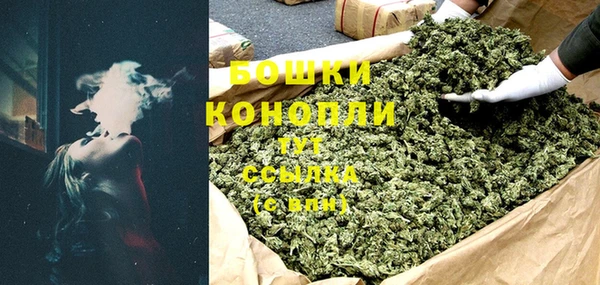 индика Кодинск