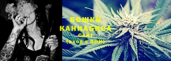 молекула духа Козловка