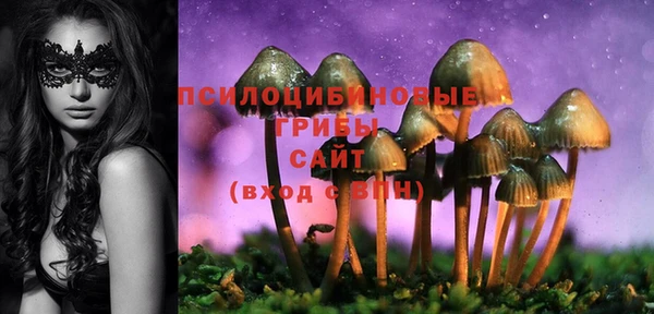 молекула духа Козловка