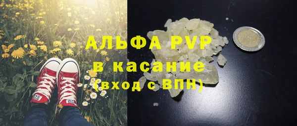 индика Кодинск