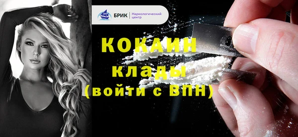 молекула духа Козловка