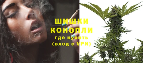 молекула духа Козловка