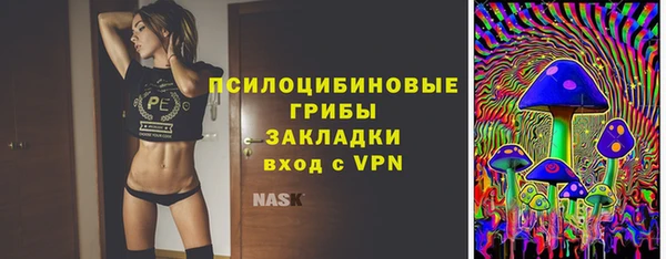 индика Кодинск